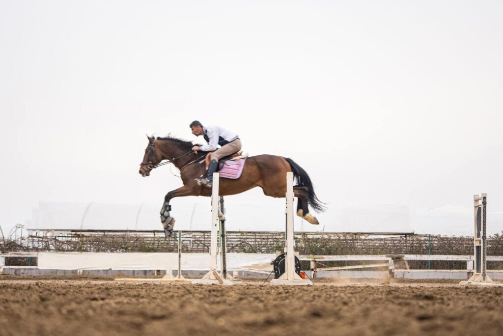 Jagd mit Hindernissen: Reiter und Pferde beim Steeplechase-Showdown