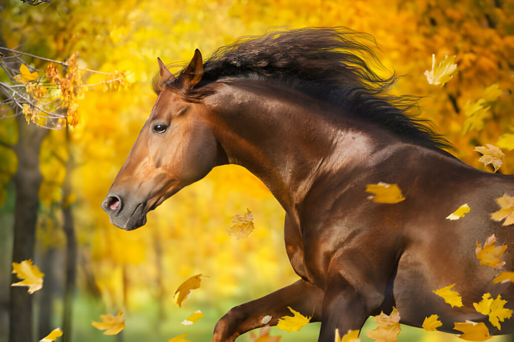 Pferdegestützte Therapie: Wie Pferde Geist, Körper und Seele heilen